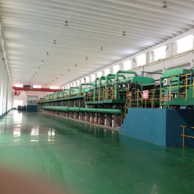 Linea di marinatura continua in opposizione processo 150000 600000t/Year